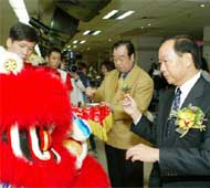 Dotting Lion's Eyes